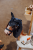 84620_low_res.jpg
